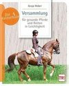 Versammlung für gesunde Pferde und Reiten in Leichtigkeit