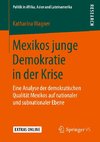 Mexikos junge Demokratie in der Krise