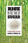 Rice in the Time of Sugar