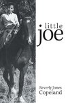 Little Joe