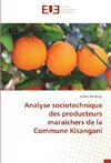 Analyse sociotechnique des producteurs maraîchers de la Commune Kisangani