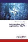 North Atlantic treaty organization (NATO)