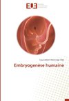 Embryogenèse humaine