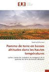 Pomme de terre en basses altitudes dans les hautes températures