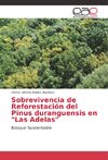 Sobrevivencia de Reforestación del Pinus duranguensis en 