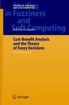 Cost-Benefit Analysis and the Theory of Fuzzy Decisions