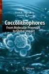 Coccolithophores