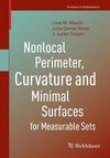 Nonlocal Perimeter, Curvature and Minimal Surfaces for Measurable Sets