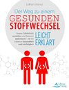 Der Weg zu einem gesunden Stoffwechsel - leicht erklärt