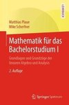 Mathematik für das Bachelorstudium I