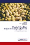 Effect of Zambia's Groundnut Drying Surfaces