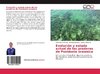 Evolución y estado actual de las praderas de Posidonia oceanica