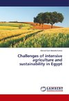 Challenges of intensive agriculture and sustainability in Egypt