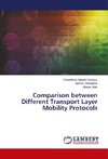 Comparison between Different Transport Layer Mobility Protocols