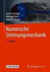 Numerische Strömungsmechanik