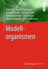 Modellorganismen