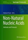 Non-Natural Nucleic Acids