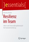 Resilienz im Team