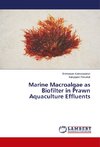 Marine Macroalgae as Biofilter in Prawn Aquaculture Effluents