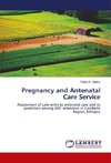 Pregnancy and Antenatal Care Service