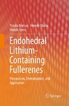 Endohedral Lithium-containing Fullerenes