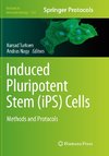 Induced Pluripotent Stem (iPS) Cells