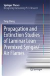 Propagation and Extinction Studies of Laminar Lean Premixed Syngas/Air Flames