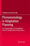 Phenomenology in Adaptation Planning