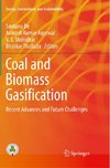 Coal and Biomass Gasification