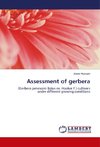 Assessment of gerbera