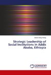 Strategic Leadership of Social Institutions in Addis Ababa, Ethiopia