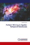 Pattern Mining in Spatio-Temporal Databases