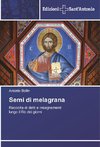 Semi di melagrana