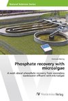 Phosphate recovery with microalgae