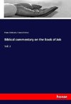 Biblical commentary on the Book of Job