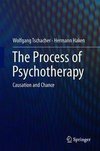 The Process of Psychotherapy