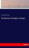 The Mountain Campaigns in Georgia