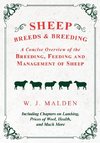 Sheep Breeds and Breeding - A Concise Overview of the Breeding, Feeding and Management of Sheep, Including Chapters on Lambing, Prices of Wool, Health, and Much More