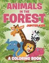 Animals in the Forest