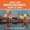 What Are Amphibians?, What & Why