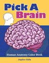 Pick A Brain