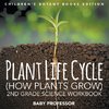 Plant Life Cycle (How Plants Grow)