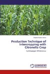 Production Technique of Intercropping with Citronella Crop