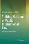 Shifting Horizons of Public International Law