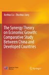 The Synergy Theory on Economic Growth: Comparative Study Between China and Developed Countries