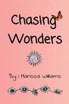 Chasing Wonders