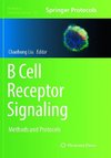 B Cell Receptor Signaling