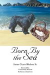 Born By the Sea