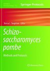 Schizosaccharomyces pombe