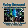 Going Bananas! A Kid's Guide to Puerto Limon, Costa Rica